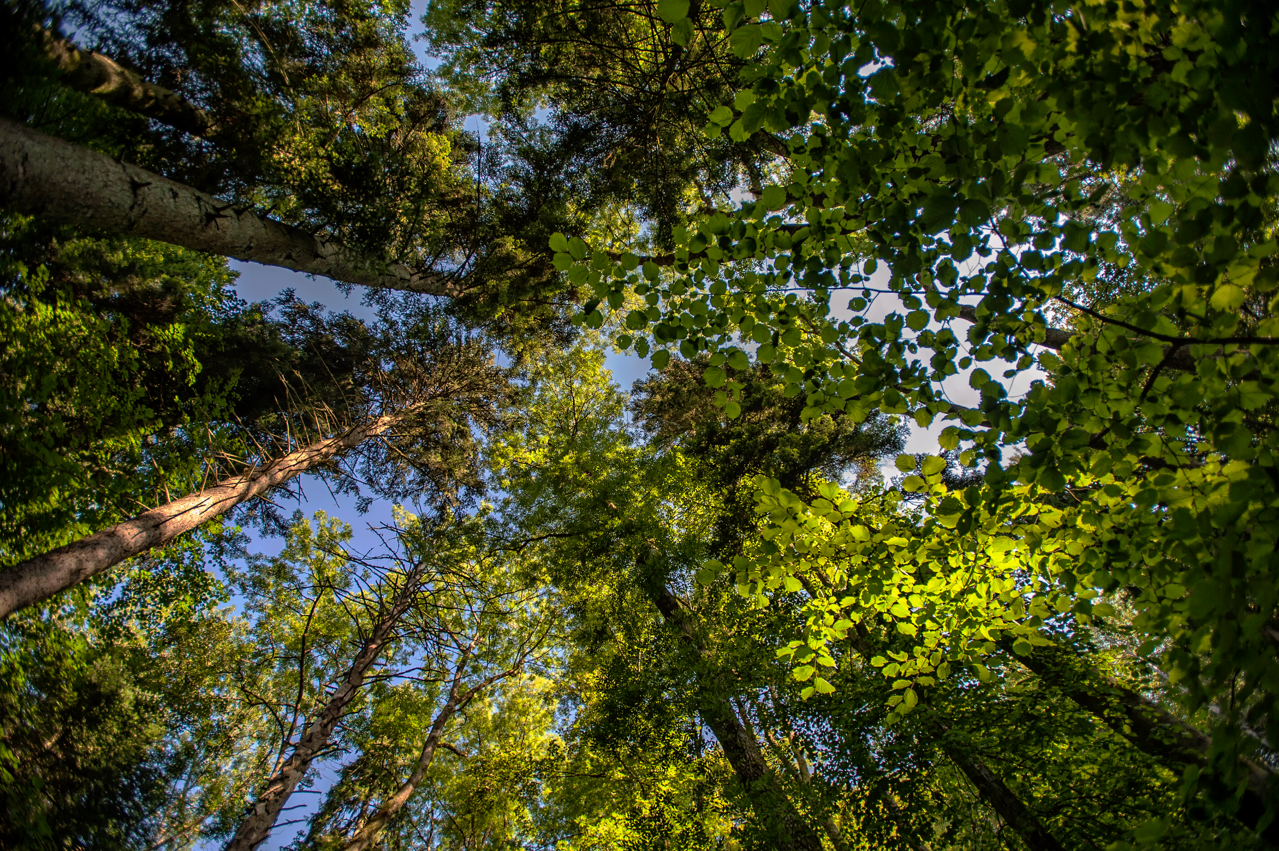 UZH - URPP Global Change and Biodiversity - Laegern
