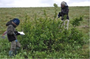 Measuring shrub position and extension, with the helping hand of a young secretary. Photo: M. Schaepman, 21 July 2013.