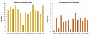 Species composition of the ridge and lowland plots in total number of species (Figure: M. Iturrate, 2013)