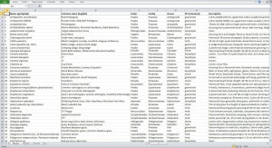 Preliminary species list of the Kytalyk area based on previous field campaigns. This year a botanist from St. Petersburg will join us to complete the local species list as a reference for expected future changes (Table: M. Iturrate, June 2013).