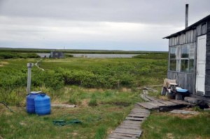View of the boardwalk leading from the river bank to the houses (Photo: G. Schaepman-Strub, July 2013).