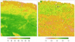 Left: average length of growing season (days). Right: corresponding temporal changes (days/year). Both are based on 1982-2011 data. (Source: http://www.mdpi.com/journal/remotesensing/special_issues/monitoring_global)