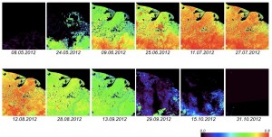 Series of MODIS NDVI images for the 2011 growing season (Source: https://lpdaac.usgs.gov/products/modis_products_table/mod13a1)