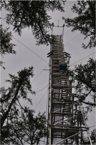 Climbing the instrumented flux measurement tower at the larch dominated site in Spasskaya Pad. Linus felt that it was quite windy at 32m…. Photo: G. Schaepman-Strub, July 2013.