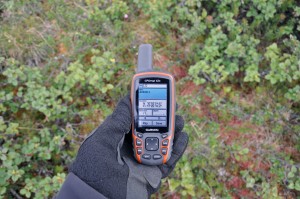 Let's meet next year in the tundra again, behind the Alnus 12 bush ... (Photo: M. Schaepman, July, 2013).