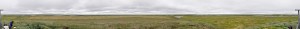 Panoramic view of the Kytalyk area from across the Berelech river on a nearby pingo (Photo: M. Schaepman, July 2013) (full resolution).