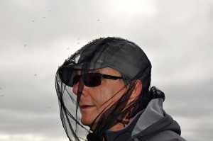 Michael Schaepman, in personal contact with all mosquitoes ... (Photo: G. Schaepman-Strub, August 2013).