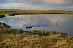 A boat arriving at the field station on a calm evening. Photo I. Juszak, August 2013