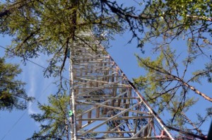 Spasskaya Pad flux tower (Photo: M. Iturrate, August 2013).