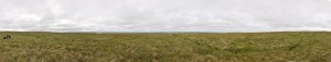 Tussock tundra near Oyotung. The small ditch to the right is a fragment of an unused supply road for abandoned infrastructure on the nearby hills and can be seen on Google maps (Photo: M. Schaepman, July 2013) (full resolution).